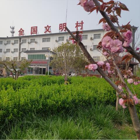 蓝莓在河南哪个品种好？