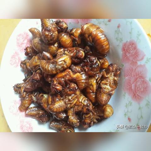 临沂市哪里抓金蝉多的长尾关键词有什么