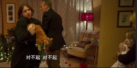 真实事件改编的年度冷门佳片《流浪猫鲍勃》：好好活着就挺有意义