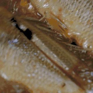 厦门面包转让的相关长尾关键词有哪些