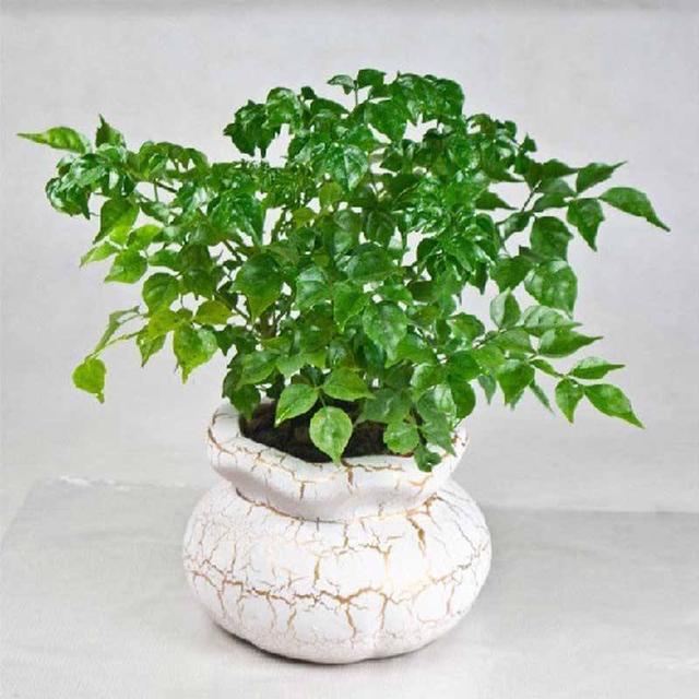 不受蚊虫侵扰