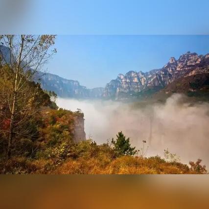 河南今天有什么事发生