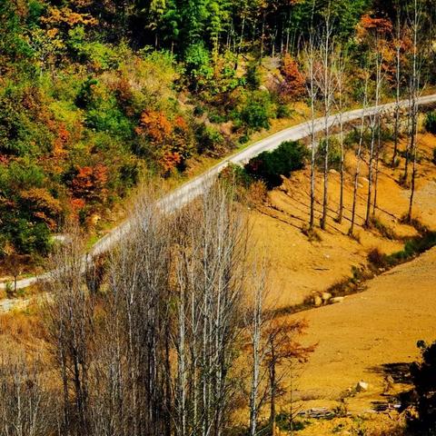 福建大山公路怎么样
