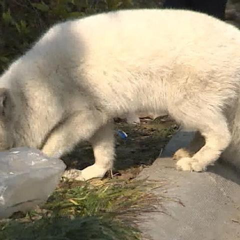 苏州市三中初中部怎么样