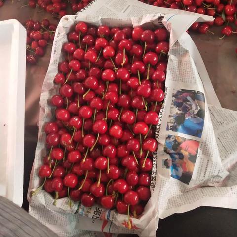 沈阳超市采购相关长尾关键词有哪些