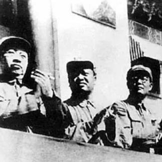 鸟将军哈尔滨相关长尾关键词有哪些