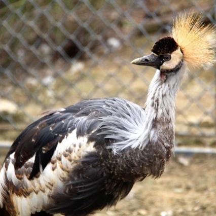 苏州市落户需要什么材料