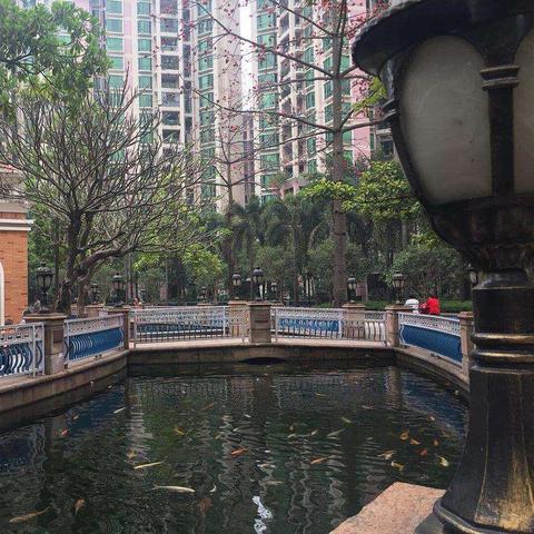 广州市番禺附近有什么玩