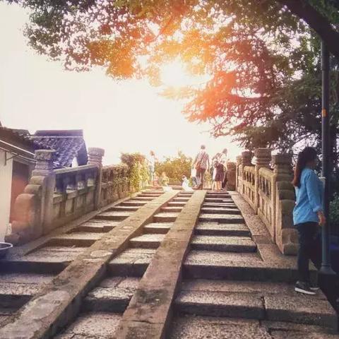 【杭州今日菜价】2025年5月18日杭州菜价是多少