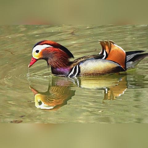 哈尔滨市今天气温多少