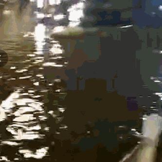 广东东莞市暴雨最新消息的长尾关键词有什么