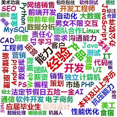 seo网站名称怎么写