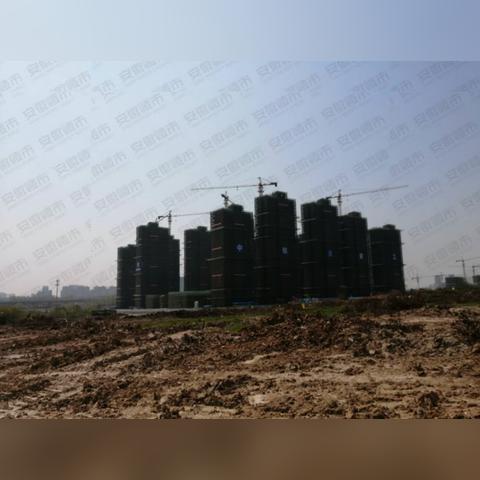 合肥包河花园拆相关长尾关键词有哪些