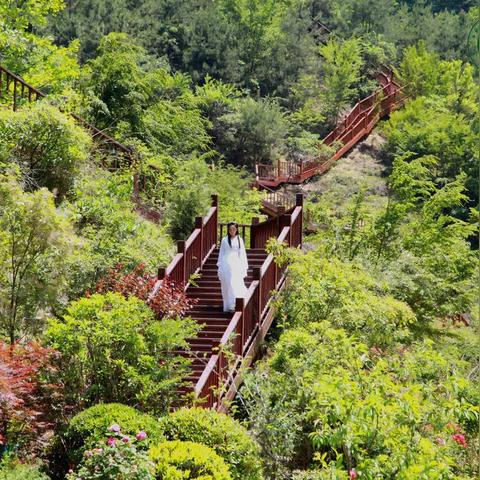 河南洛河气温怎么样