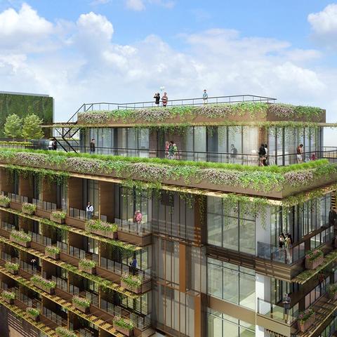 【天津奥绿农园】相关长尾关键词有哪些