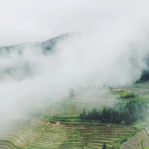 桂林市怎么做攻略