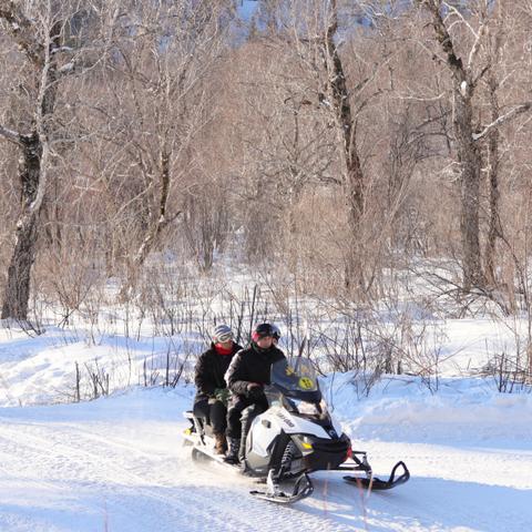 哈尔滨近郊最美树林相关长尾关键词有哪些