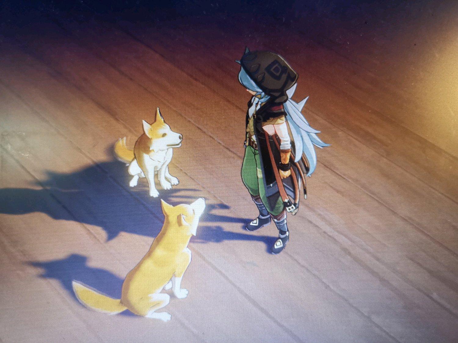 手机端原神怎么放置家具(原神尘歌壶怎么摆放家具)