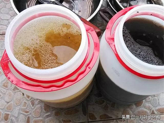 宝宝吃5种变异水果有毒