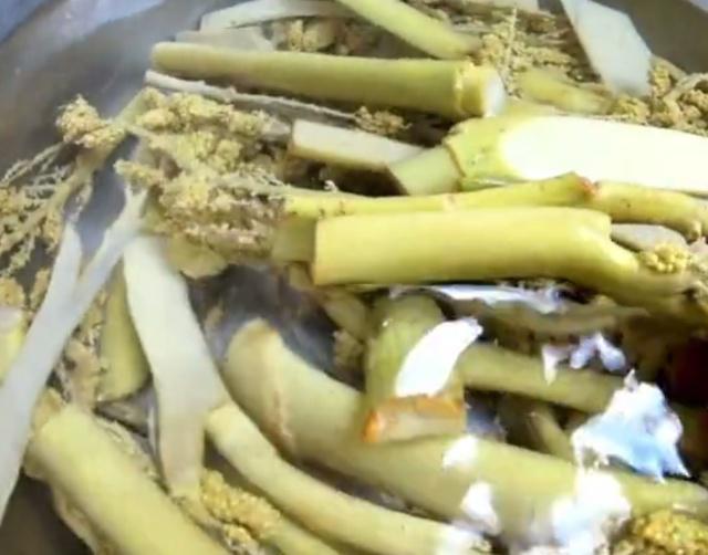 在树上发现什么美食（农田里的六种野味）
