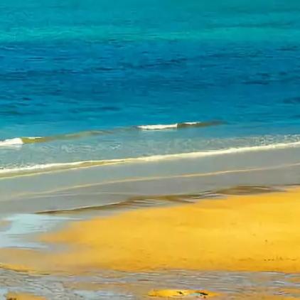 温州市海边收获什么的长尾关键词有什么