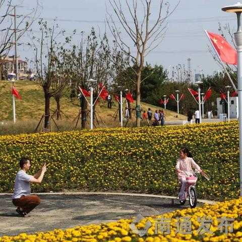 南通网红花海长尾关键词有什么