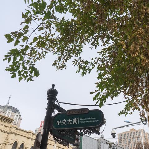 哈尔滨天气7月份天气相关长尾关键词有哪些