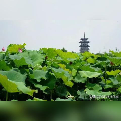 长沙儿童游乐场转让相关长尾关键词有哪些