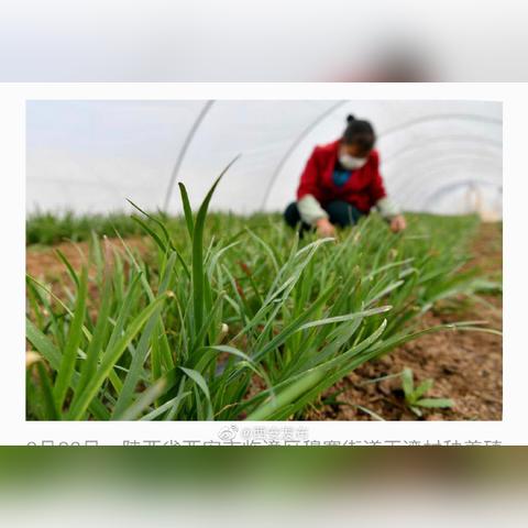 西安市防疫证怎么办