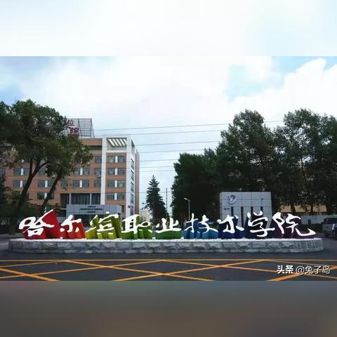 哈尔滨机电市场相关长尾关键词有哪些