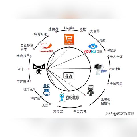 跨境电商如何分析现金流