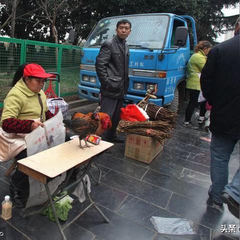 生辰八字真的能算准吗？真相或许让你意外