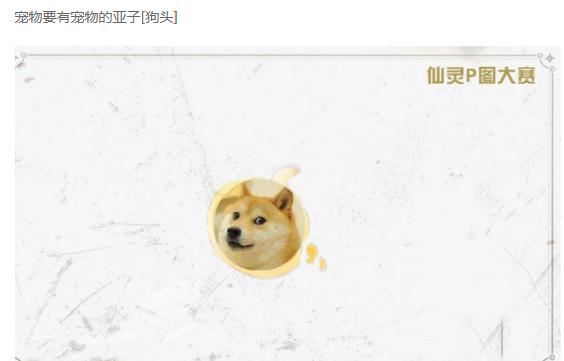 原神的宠物怎么招出来（原神中如何把派蒙换成新宠物）