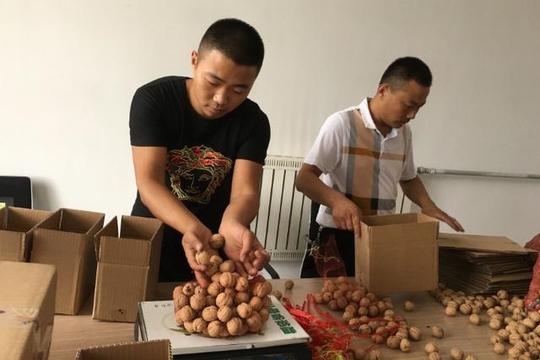 最适合农村创业的2个项目，关键成本低，发展空间大，不要错过了