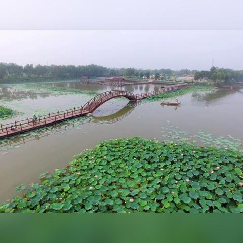 河北省保定市安新县地图的长尾关键词有哪些