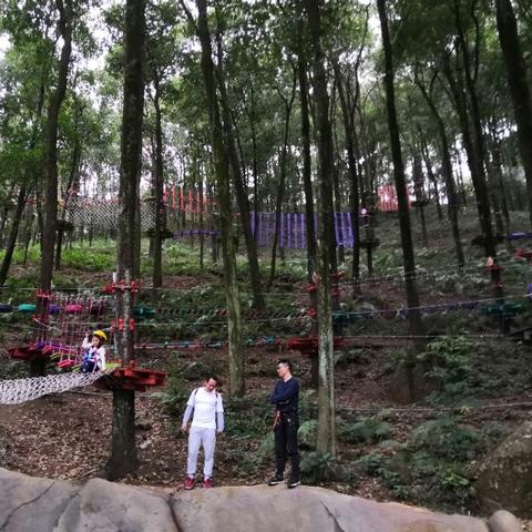 厦门市天竺山高多少米