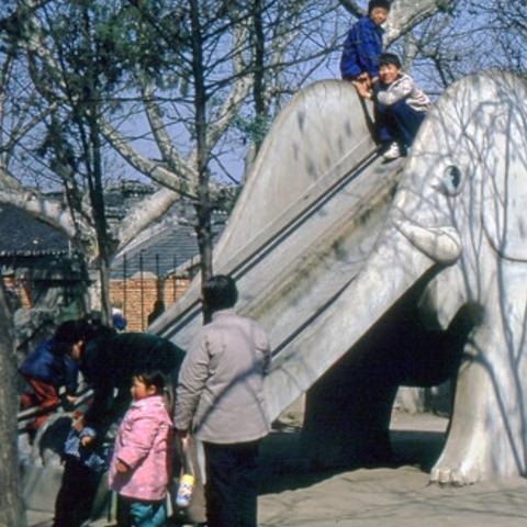 保定市水泥多少钱一袋