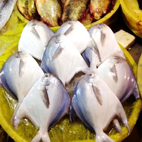 宁波市有什么特色海鲜店