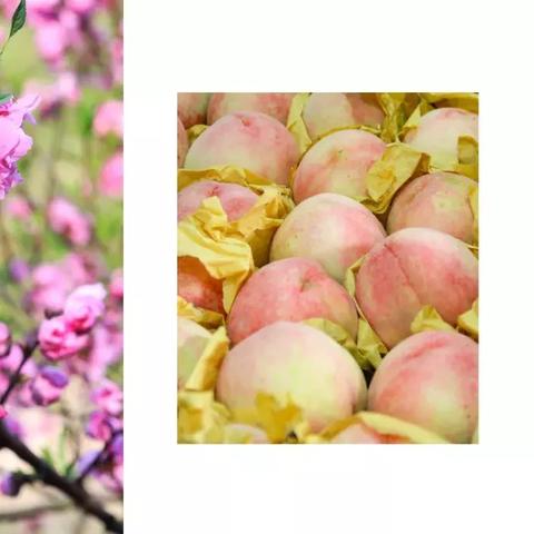 宁波市灸尚艾灸馆怎么样