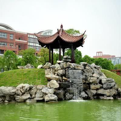 杭州市有什么大学985