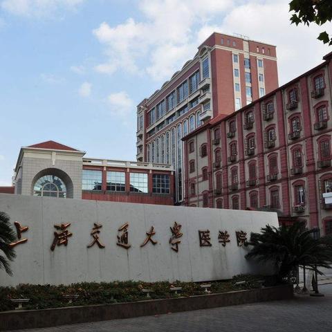 上海工科本科有哪些学校