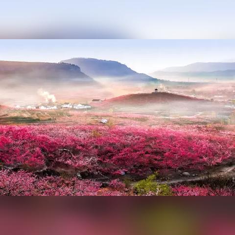 桂林市约会去哪个餐厅好