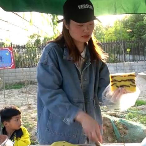 河南豌豆什么时候种好吃