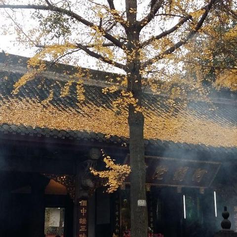 成都市天府八小怎么样啊