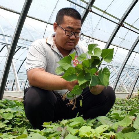 石家庄市致富项目培训的长尾关键词有哪些