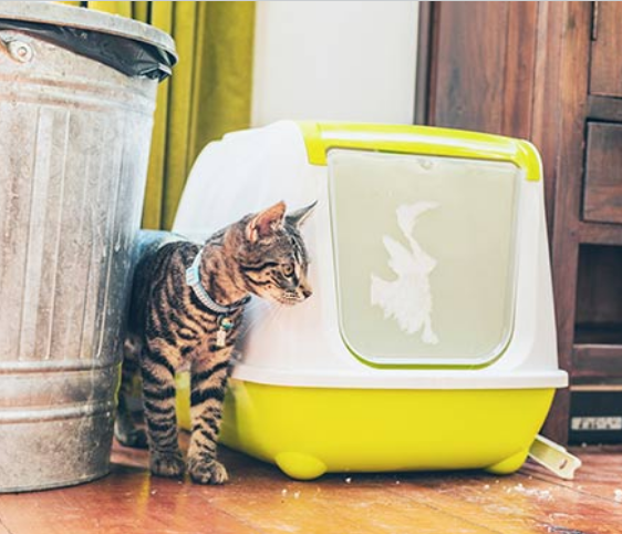 宝宝晚上尿床是害怕吗 宝宝晚上尿床是害怕吗