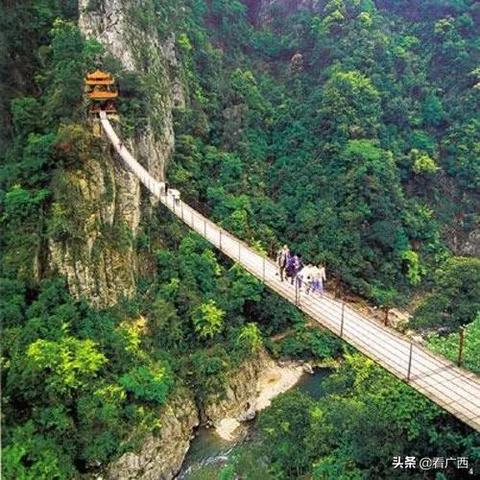 桂林市怎么去猴山