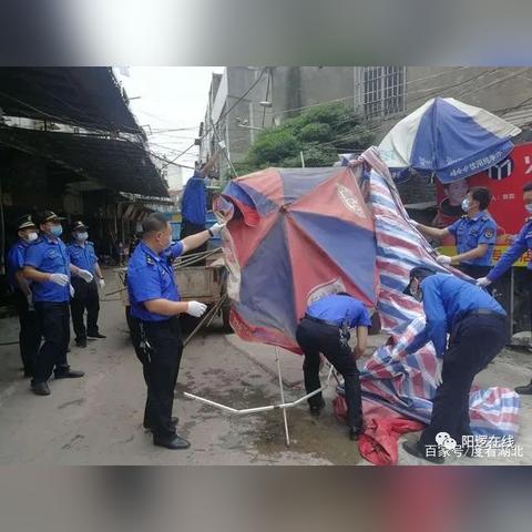 武汉市阳逻镇属于哪个区