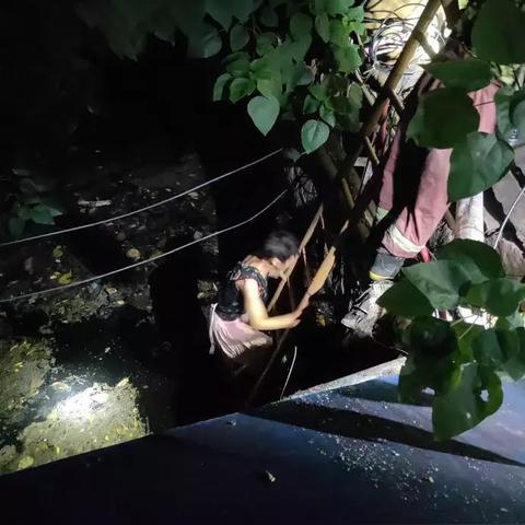 广东省佛山市顺德区公安局电话的长尾关键词有什么