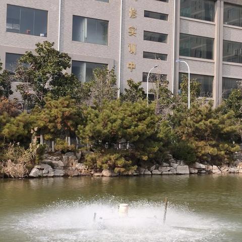 济南市为什么不下雪呀
